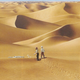 Illustration for article titled New images from the Tintin movie reveal Thomson and Thompson, the endless desert